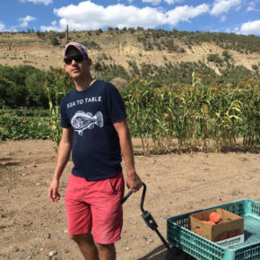 Peach picking in Paonia Colorado